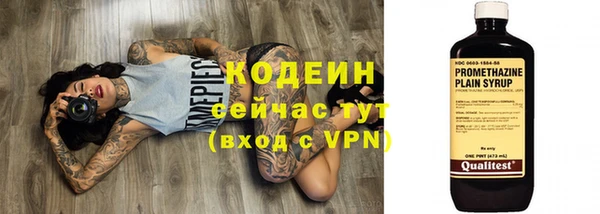 не бодяженный Арсеньев