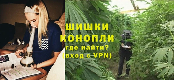 гидра Надым